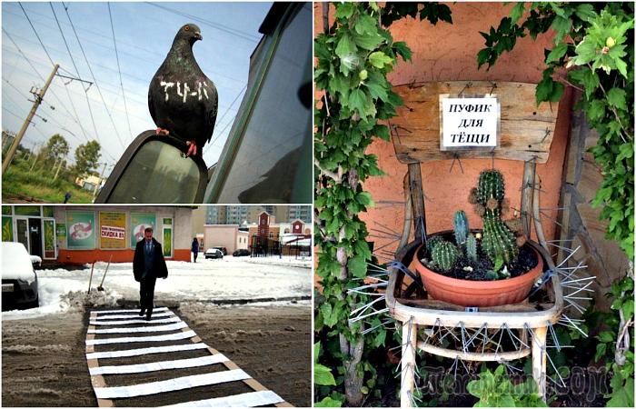 17 уморительных снимков, которые смогут оценить только наши люди