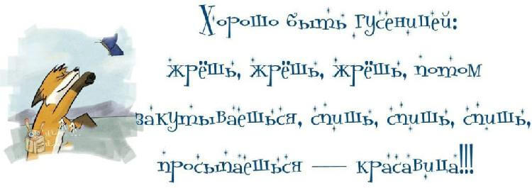 15 смешных цитат о жизни женщины 15 смешных цитат о жизни женщины