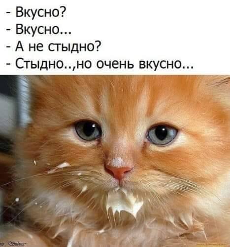 20 анекдотов, шуточек и историй в картинках, которые развеселят всех и каждого 20 анекдотов, шуточек и историй в картинках, которые развеселят всех и каждого