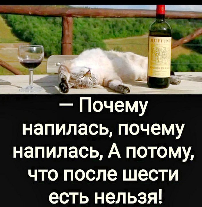 Подборка шуток Подборка шуток