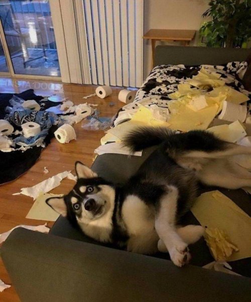 Прикольные картинки для всех Прикольные картинки для всех