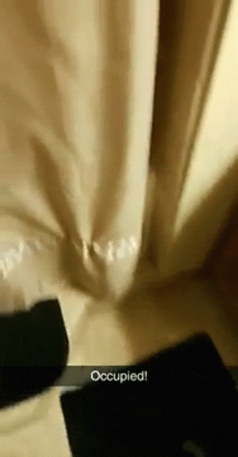 Милые и бессовестные... Милые и бессовестные... животные