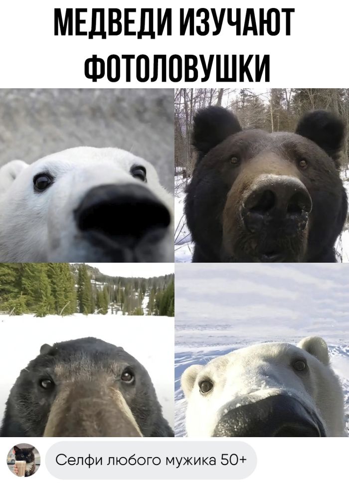 Комментарии с перчинкой — приправляют пост, как острый соус 