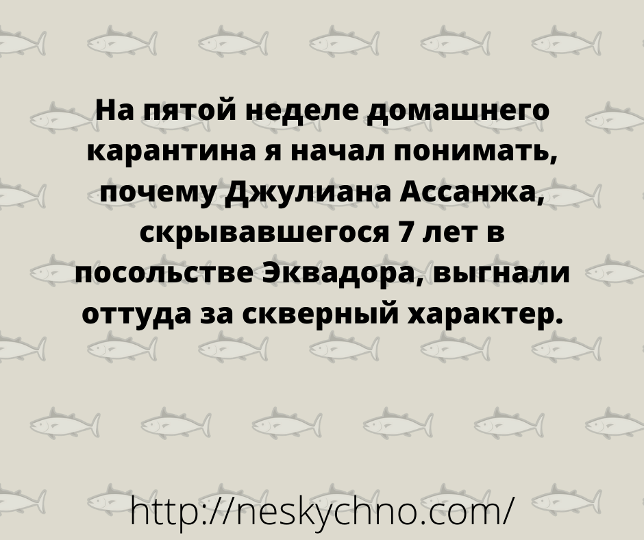 Веселая подборка анекдотов, которые наполнят день позитивом Веселая подборка анекдотов, которые наполнят день позитивом анекдоты,смех,улыбки,юмор