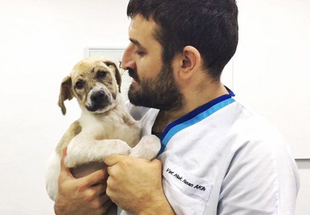 puppy-covered-clue-rescued-pascal-6