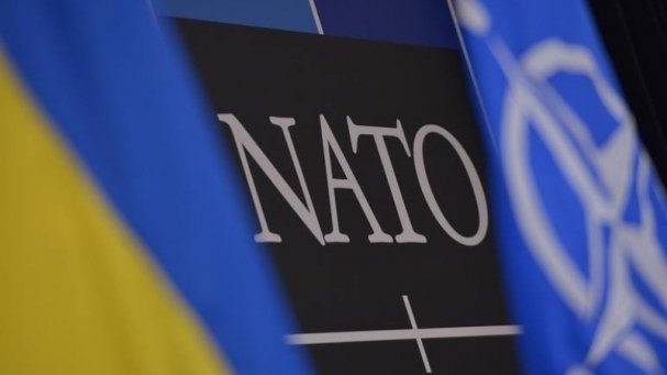 "Никто не будет даже рассматривать нашу заявку". Скептики раскритиковали курс Рады на НАТО  