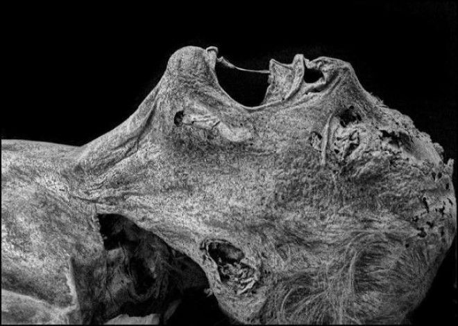 21 исторический факт, о котором в школе не рассказывали 