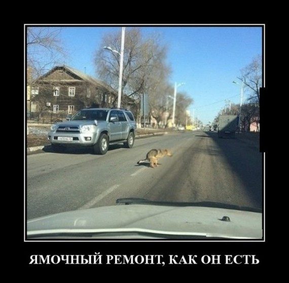 Прикольные демотиваторы дня!