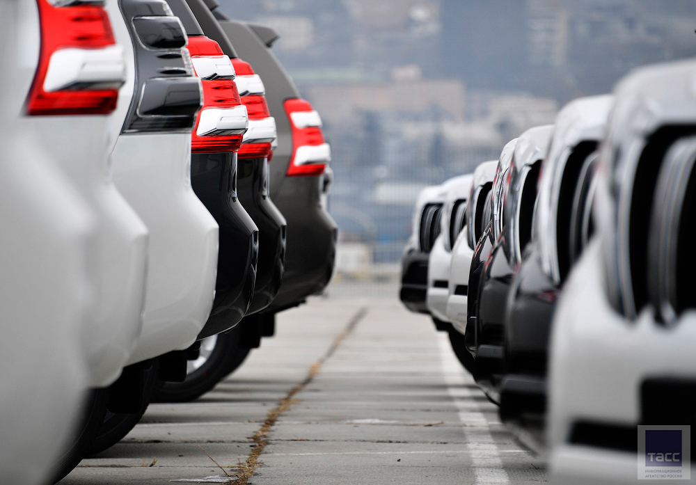 терминал авто. владивостокский автомобильный терминал. свх владивосток. терминал авто логотип. терминал авто владивосток.