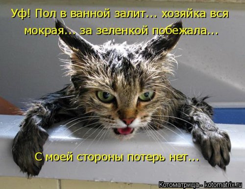 Котоматрица на Бугаге (28 фото)