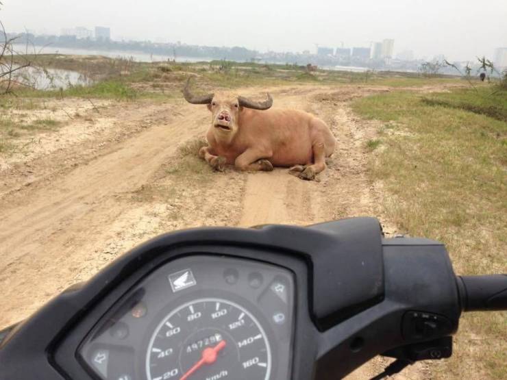Подборка смешных картинок Подборка смешных картинок приколы,смешные картинки,юмор