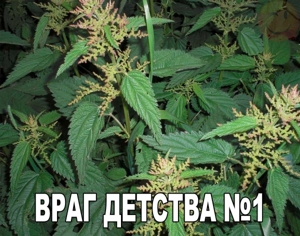 Позитивный пост+139