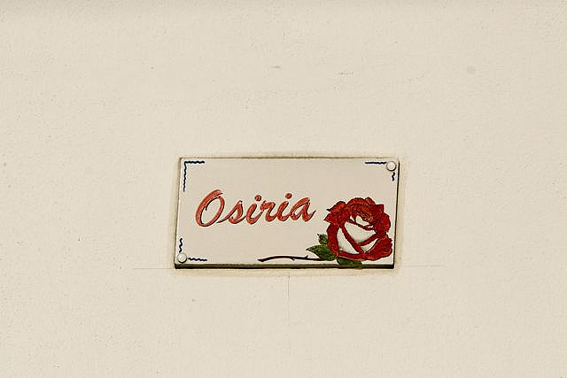 Фотография: Удивительно красивая роза сорта Osiria №6 - BigPicture.ru