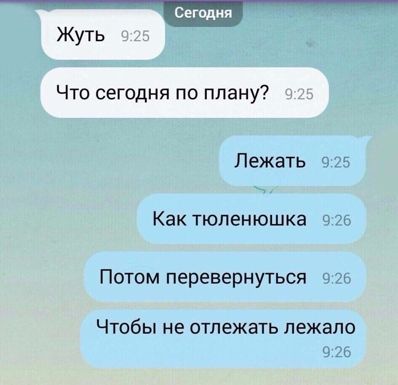 План смешные картинки