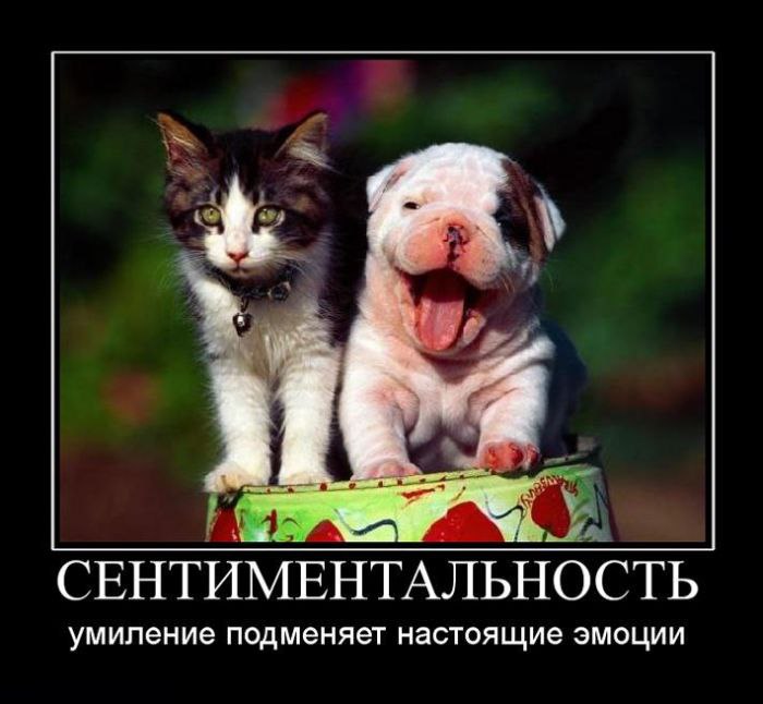 Подборка веселых и замечательных демотиваторов из жизни (11 фото)