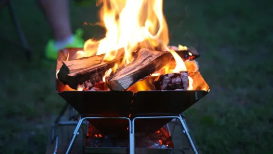 на каких дровах жарить мясо