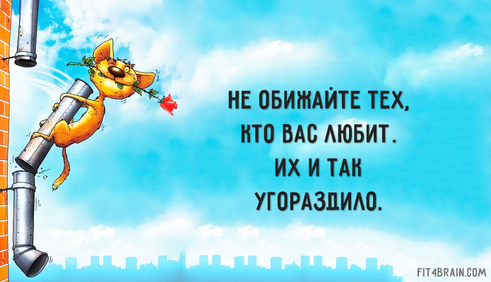 20 иронично-милых советов и фразочек в картинках, которые поднимут Вам настроение