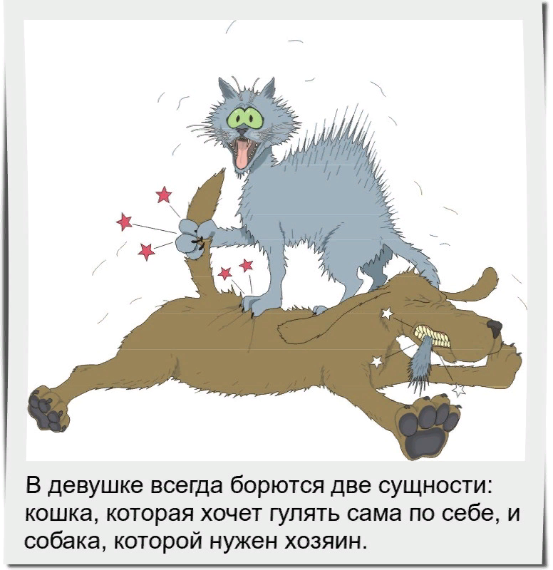 Известны семьсот видов женских слез. И на всё это великолепие мужчина реагирует единственной фразой: "Ну чё ты?" Известны семьсот видов женских слез. И на всё это великолепие мужчина реагирует единственной фразой: "Ну чё ты?"