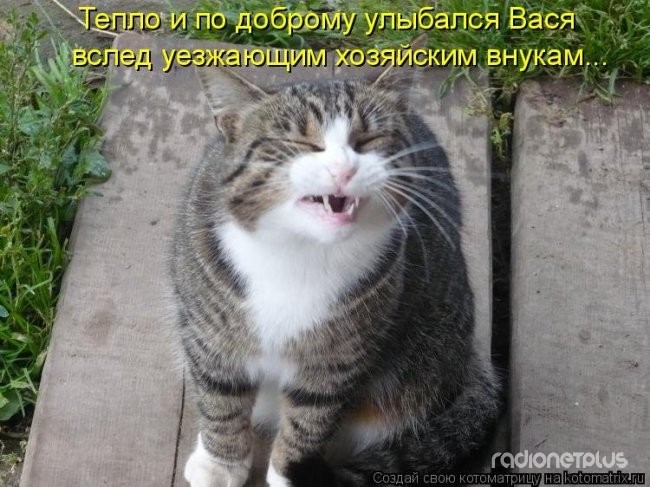 24 картинки развлекательного характера со зверьем 