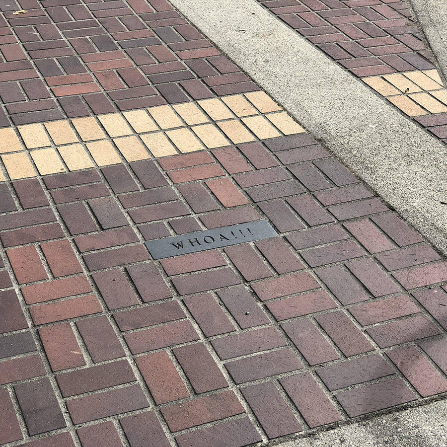 Забавные картинки для хорошего настроения Забавные картинки для хорошего настроения животные,жизнь,звери,земля,котики,коты,курьезы,мир,питомцы,планета,приколы,природа,смешное,собаки,факты,фауна,флора,щенки,юмор