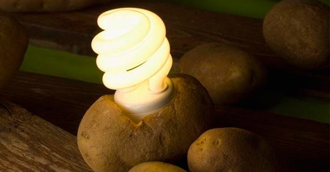 potatolight