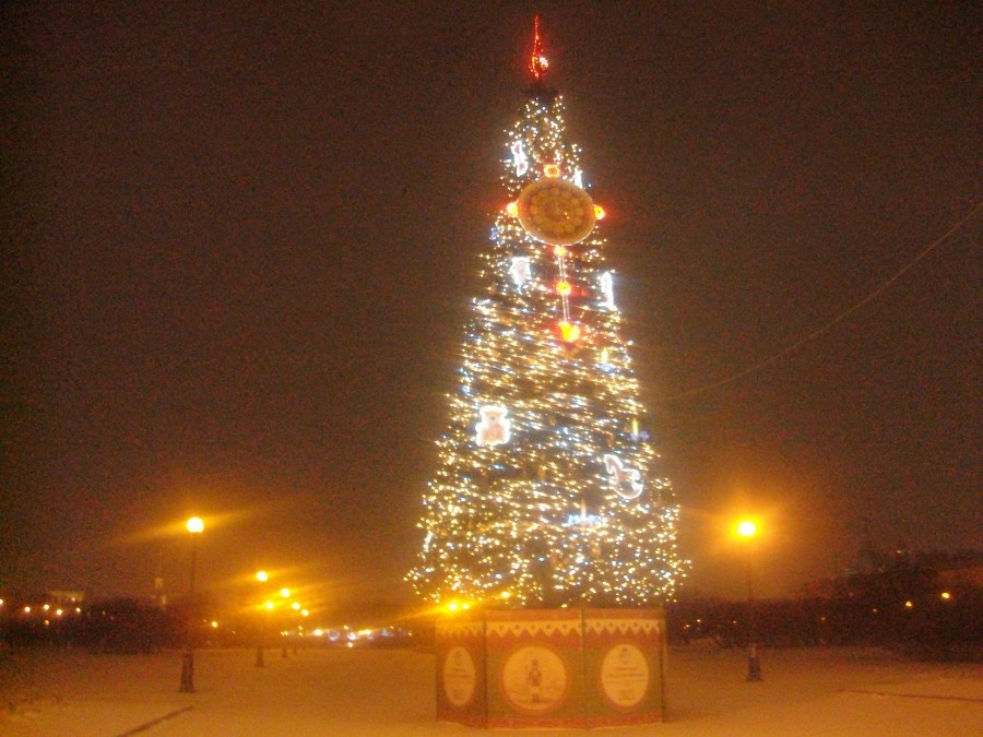 Новогодние елки Петербурга Новогодние елки Петербурга