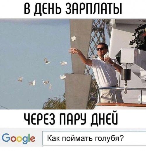Фотоприколы дня!