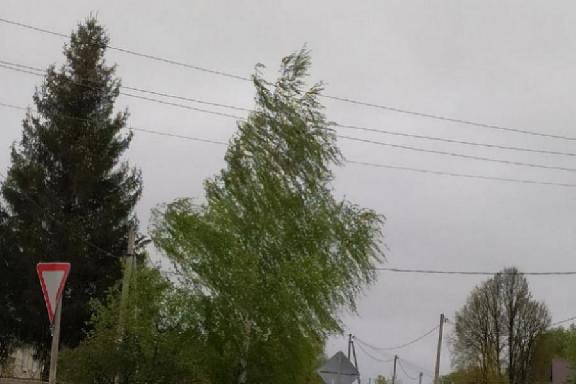 МЧС предупредило тамбовчан о сильном ветере 9 мая