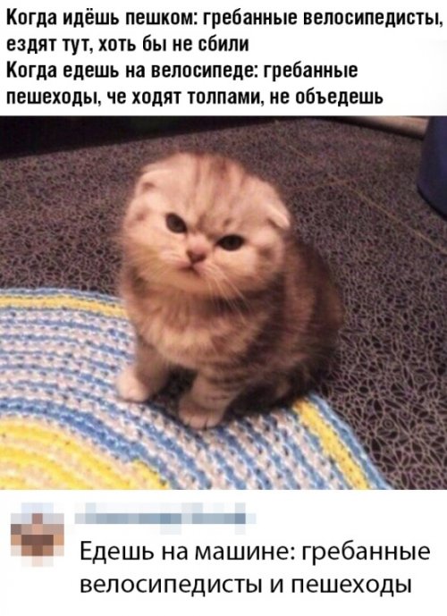 Прикольные картинки для всех Прикольные картинки для всех