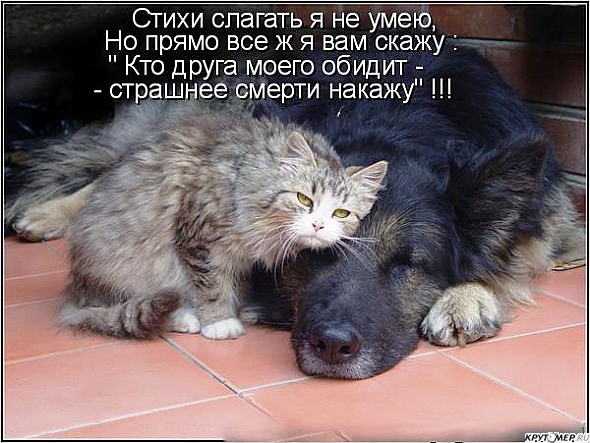 Улыбнись! Улыбнись! демотиваторы