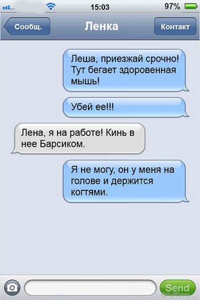 19 ну очень смешных SMS семейной пары