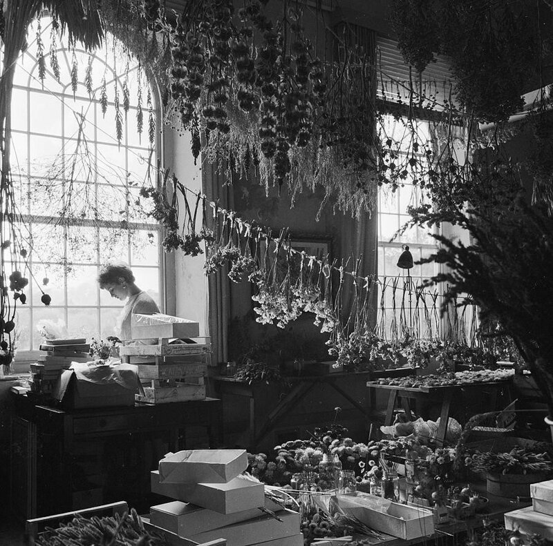 Позитивный фотограф Джон Дрисдейл Фотография