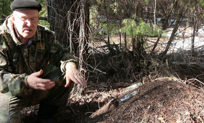 Егерский способ защиты от клещей