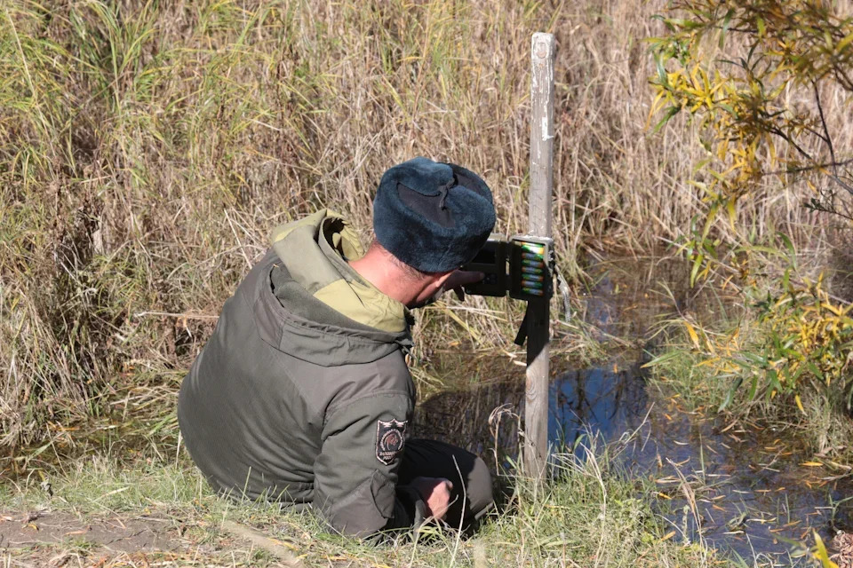 Кабанский заказник: маленький рай в дельте Селенги 