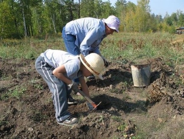 7. Излюбленные позы дачников дача, дачники, огородники, прикол, фото