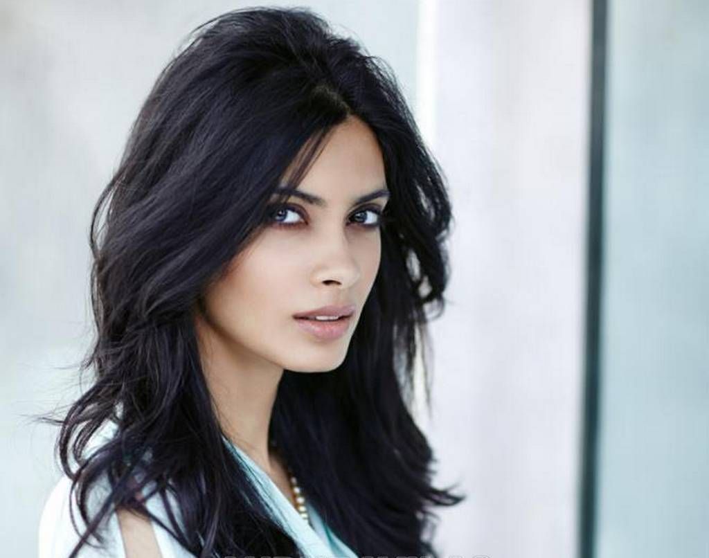 Фото стрижек брюнеткам. Диана Пенти. Diana Penty фотосессии. Красивые черные волосы. Укладка на длинные волосы брюнетка.