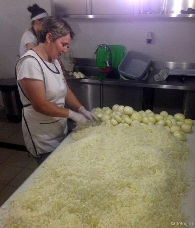 Приколы про лук Приколы про лук