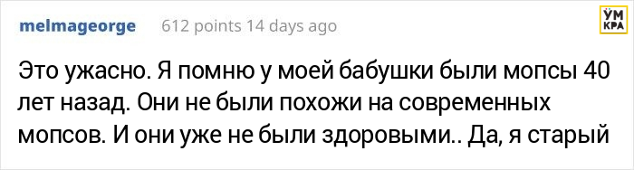 Парень хотел завести мопса, но его друг сравнил черепа собак, доказав, что это жестоко собак, проблемы, породы, собаки, время, также, здоровьем, чистокровного, мопса, нормальной, которые, мопсы, проблем, могут, чтобы, звуки, часто, много, этого, черепами