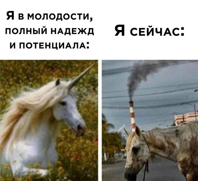 Приколы января 2021 Приколы января 2021 приколы,смешные картинки,юмор