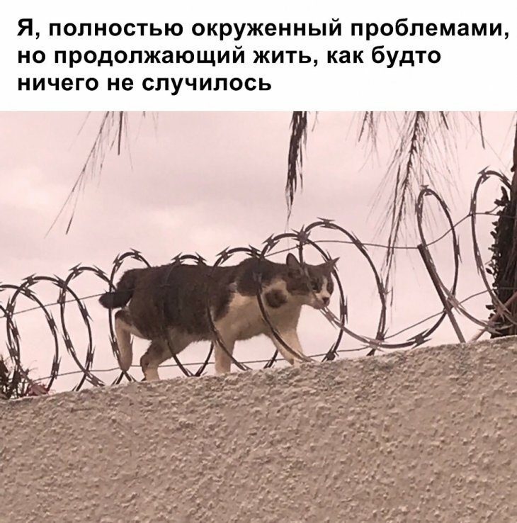 Смешные картинки со всего интернета позитив,смешные картинки,юмор