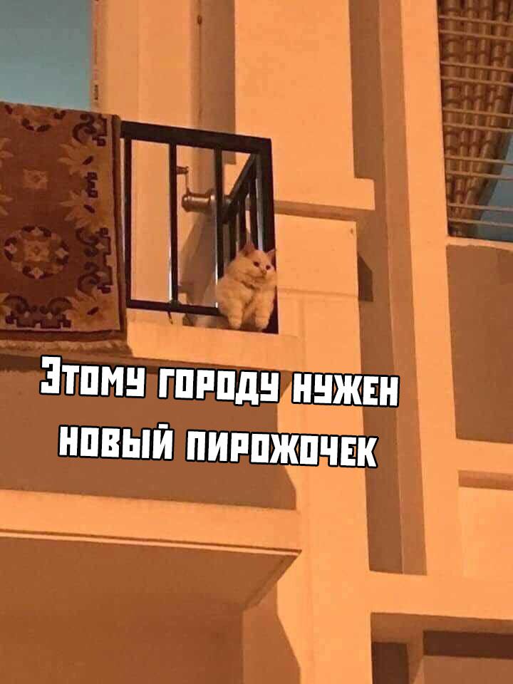 Подборка свежих картинок поднимающих настроение 