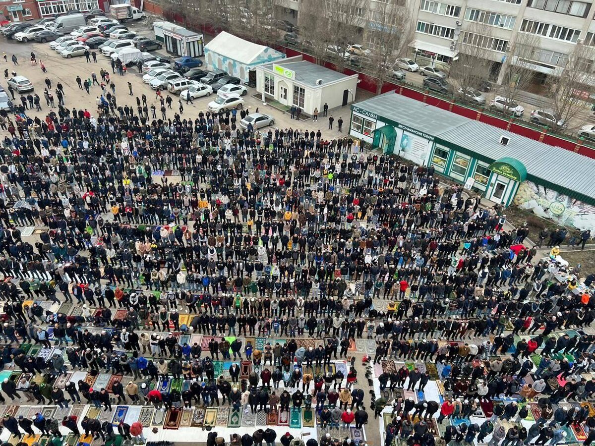   Продолжается суд над бандой иностранных специалистов из Таджикистана, которые собрались толпой и убили русского 17-летнего школьника возле ТРК "Космос" в Челябинске.-6