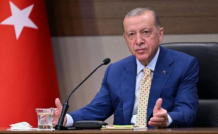 Турецкий кульбит: против кого сегодня дружит Эрдоган