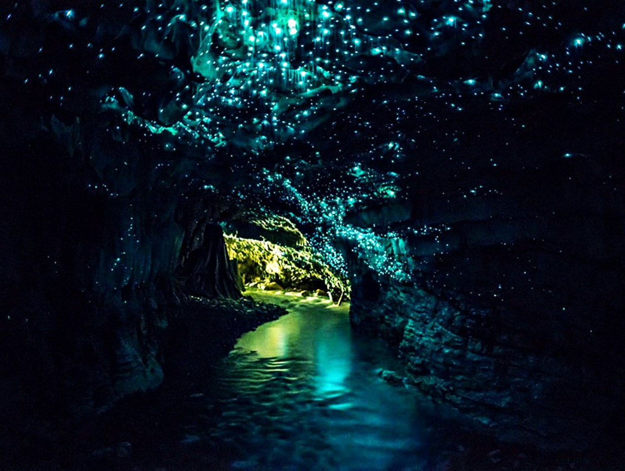 Пещеры Вайтомо Новая Зеландия. Мастерская природы. 10 самых красочных природных чудес света. Фото с сайта NewPix.ru