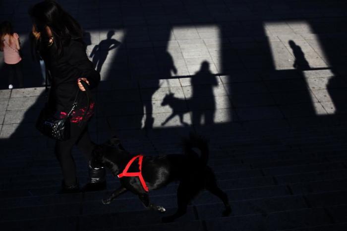 Магия уличной фотографии: Завораживающие снимки, в которых нет ни капли фотошопа Магия уличной фотографии: Завораживающие снимки, в которых нет ни капли фотошопа