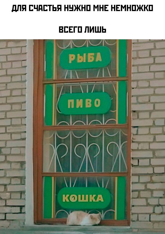 Свежие картинки поднимающие настроение