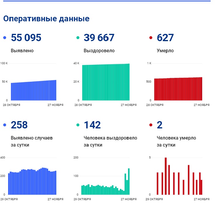 Коронавирус в Томской области: данные на 27 ноября