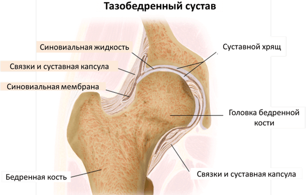 Сколько живут пациенты в пожилом возрасте с переломом шейки бедра бедра, шейки, перелома, кости, пожилом, может, пожилых, возрасте, бедренной, перелом, травмы, после, людей, лечение, области, переломы, переломов, повреждения, костной, пациент