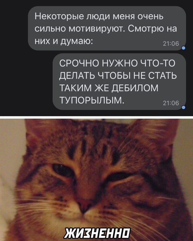 Подборка прикольных картинок Подборка прикольных картинок приколы,смешные картинки,юмор