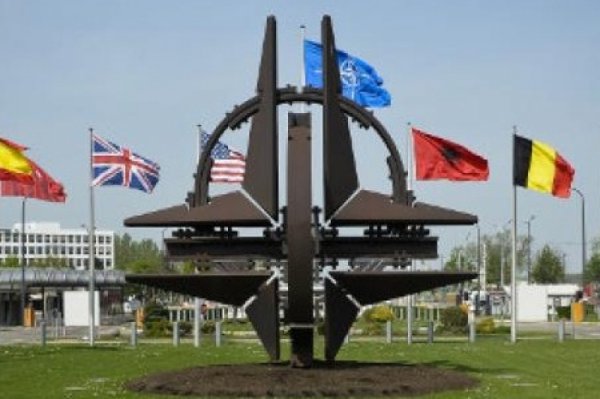 За вступление в НАТО только Галичина и Порошенко. Данные опроса  
